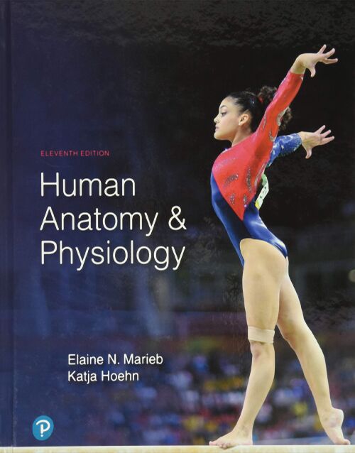 Human Anatomy & Physiology 11th Edition book cover, ISBN 9780134580999